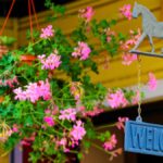 The welcome board and flower plants are there at the entrance of the house