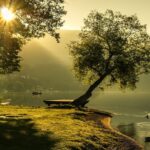 Sun sises in the landscape with mountains and trees near the lake
