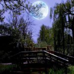 The full moon gives light in the garden with trees and a small bridge