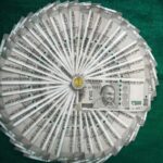 The Indian money displays like round shaped fan