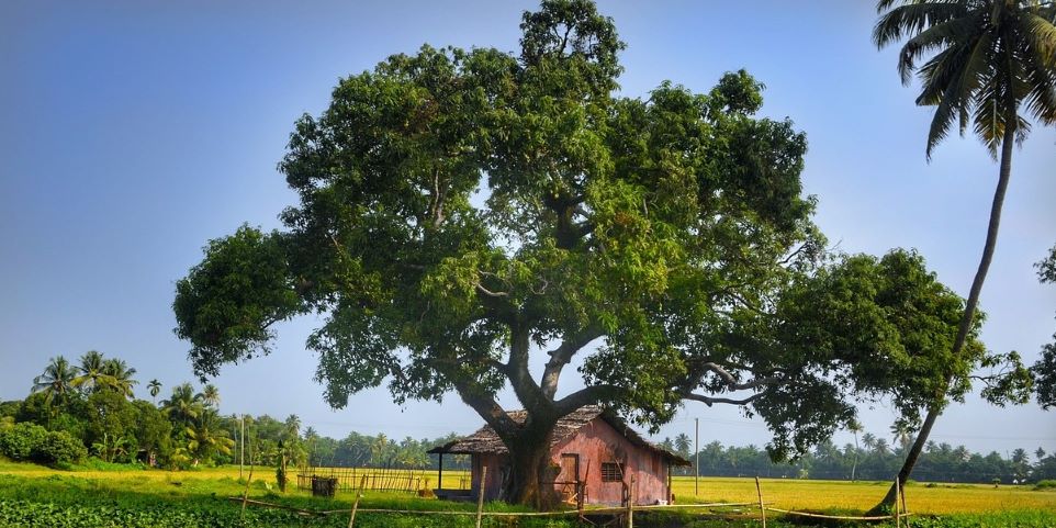 A house in beautiful village