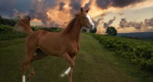 A horse is running towards its own place