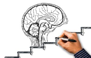 Knowledge from experiences will gradually increasing