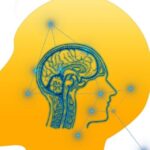 The head in to the head.