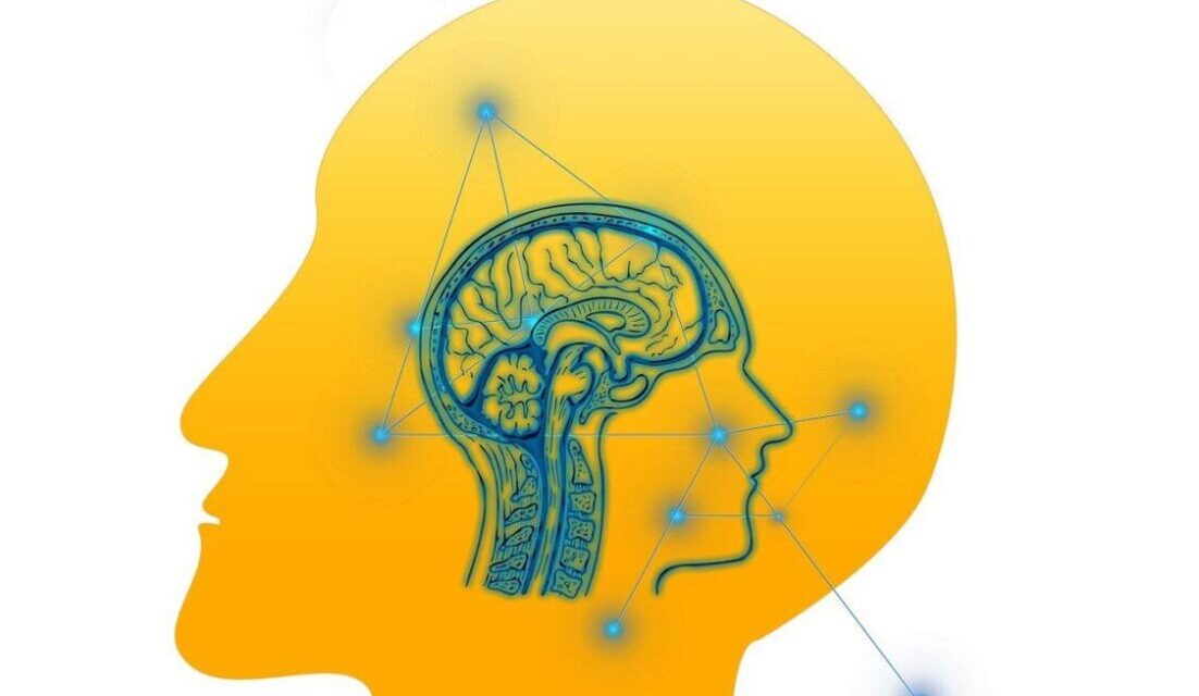 The head in to the head.